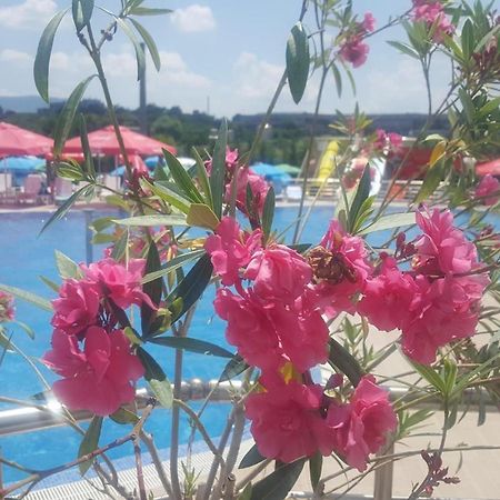 Hotel Aqua Kŭrdzhali エクステリア 写真