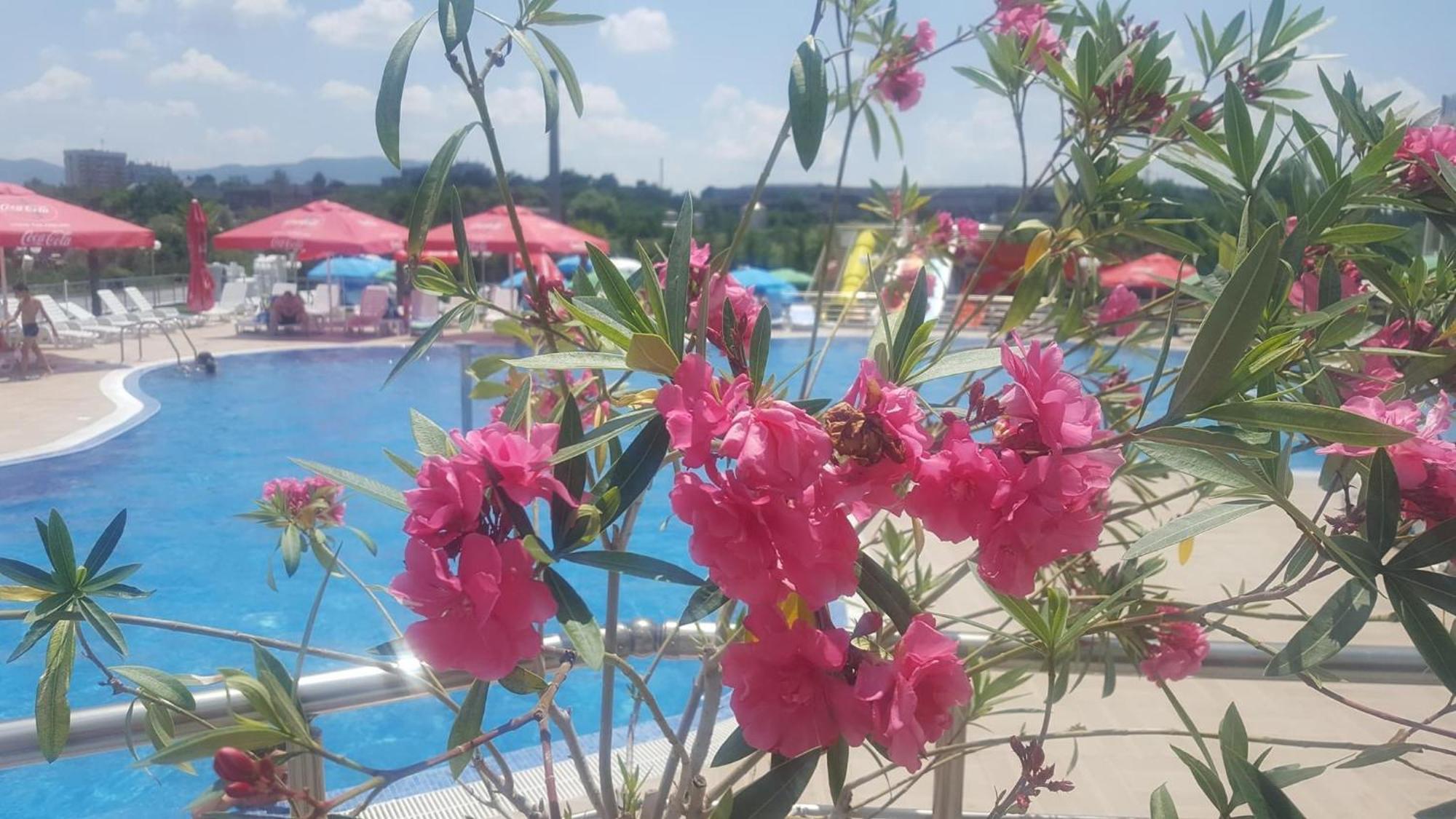Hotel Aqua Kŭrdzhali エクステリア 写真